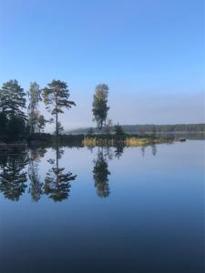 Naturlandskabet i nærheden af lejligheden