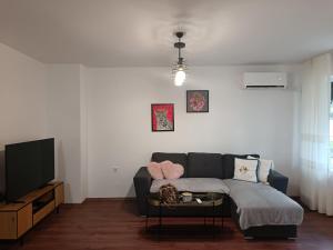 ein Wohnzimmer mit Sofa und Fernseher in der Unterkunft Апартаменти Арт in Stara Sagora