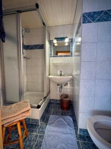 een badkamer met wastafel, douche en toilet bij Hochleiten-Gut in Niedernsill +70 foto's