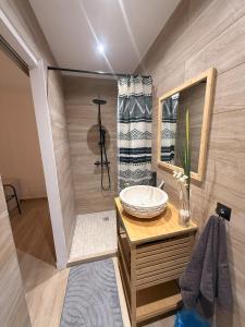 een badkamer met een wastafel en een douche bij Le Plumeria in Saint-Pierre