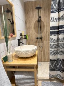 een badkamer met een grote wastafel op een tafel bij Le Plumeria in Saint-Pierre +36 foto's