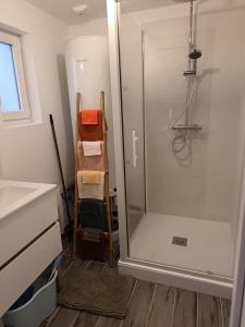een badkamer met een douche en handdoeken op een plank bij Maison Le Platier d'Oye in Oye-Plage