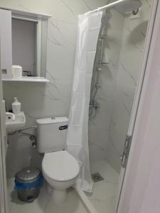 un bagno bianco con wc e doccia di Tin-Nik Apartments a Kruševo 1 altra foto