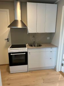 a kitchen with a stove and a sink at New studio centrally located in Leknes in Leknes