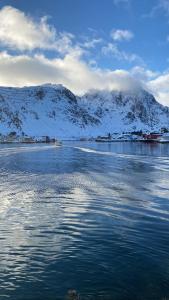 een grote hoeveelheid water met besneeuwde bergen bij New studio centrally located in Leknes in Leknes