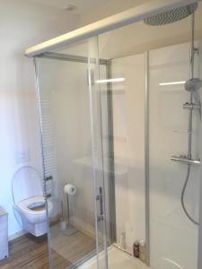 a bathroom with a toilet and a glass shower stall at La Carbonnière in Condé-sur-Vire