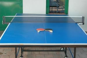 a ping pong table with twoicans on top of it at Villa Maslina in Ljubuški