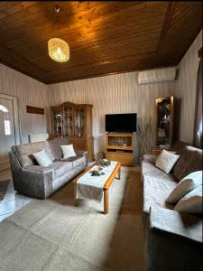 een woonkamer met twee banken en een salontafel bij House by the Mountain in Konitsa +3 foto's
