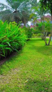 Zahrada ubytování Casa Italia 2 bedrooms fully furnished with pool in brusubi Gambia