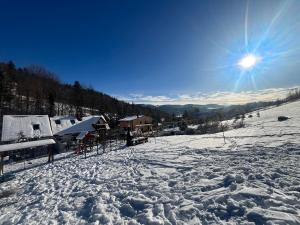 维斯瓦Apartamenty Kadłubek的一个被雪覆盖的山坡,上面有一群小屋