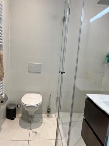 ein weißes Badezimmer mit Toilette und Dusche in der Unterkunft Luxury Apartment in Central Geneva in Genf