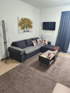 a living room with a couch and a table at Alkyona apartments in Kalavrita