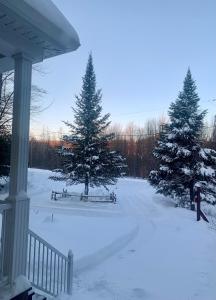 een veranda met twee dennenbomen in de sneeuw bij Au Gré Du Temps - Gîte B&B in Shefford