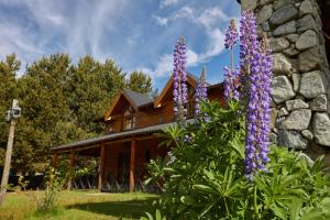 een huis met paarse bloemen ervoor bij Melewe Moquehue in Moquehue