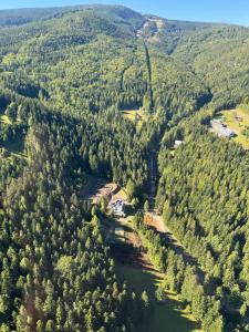 eine Luftaufnahme eines Flusses und von Bäumen in der Unterkunft Osicki Sport Resort in Korbielów