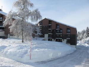 ein schneebedeckter Baum vor einem Gebäude in der Unterkunft Studio reposant à la montagne in Les Rousses