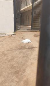 a white object is laying on the ground in front of a building at Kit Net Cidade Universitária in Limeira