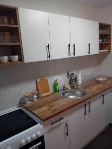 Køkken eller tekøkken på Apartman Đorđevic