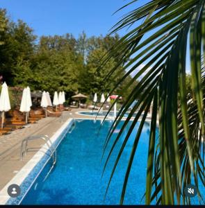 Swimmingpoolen hos eller tæt på Apartman Đorđevic