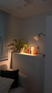 a living room with a plant on a counter at 스테이 무드인 in Seoul