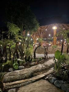 a garden at night with plants and lights at Chậm Viên Le Jardin in Thanh Lâm +15 photos