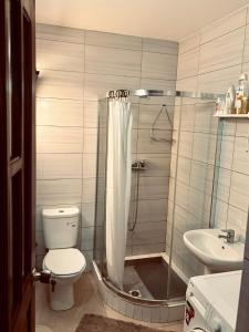 un bagno con doccia, WC e lavandino di Ferreira e Brito apartamentos a Espargos Altre 9 foto