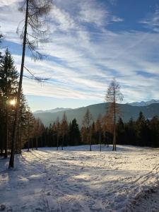 Příroda nedaleko apartmánu