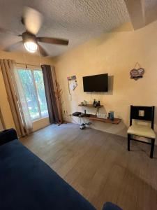 ein Wohnzimmer mit Bett und Flachbildfernseher in der Unterkunft Raya apartment in Ixtapa