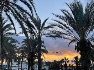 eine Gruppe von Palmen vor einem Sonnenuntergang in der Unterkunft Yasmina Hotel Appartment in Yasmine