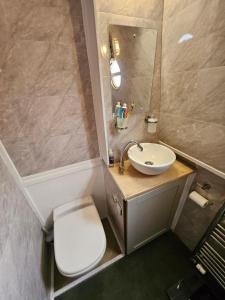 a bathroom with a sink and a toilet and a mirror at Komet Canal Boats in Nantwich +38 photos