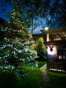 un albero di Natale di fronte a una casa di notte di La Casetta dei Fiori sull Etna a Ragalna Altre 3 foto