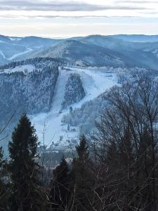a view of a snow covered valley with trees at Apartament przy Słonecznej in Szczyrk