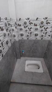 a bathroom with a toilet with birds on the wall at Ajay homestay &PG in Jhūsi +19 photos