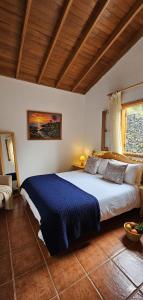 een slaapkamer met een groot bed met een blauwe deken bij Casa Emilia in Agulo