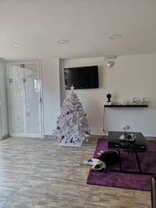 een hond die op de grond ligt voor een kerstboom bij Casa Emilia in Agulo