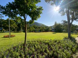 een boom in een veld met de zon erachter bij Monte Viento Khaoyai 