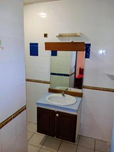 een badkamer met een wastafel en een spiegel bij Le Milano in Kourou