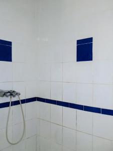 een douche in een badkamer met blauwe en witte tegels bij Le Milano in Kourou +27 foto's