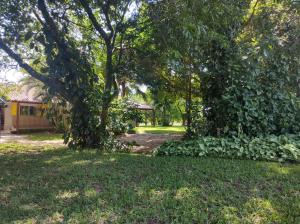 twee bomen in een tuin met een huis op de achtergrond bij Chácara do Japonês 
