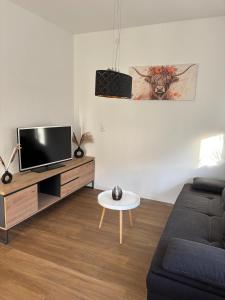 TV a/nebo společenská místnost v ubytování Gemütliche Ferienwohnung auf der Schwäbischen Alb