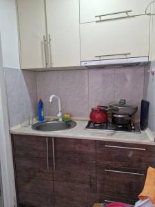 een aanrecht met een wastafel en een fornuis bij Golden sea in Itʼkhvisi