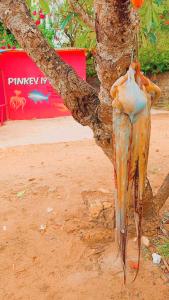 a bird feeder hanging from the side of a tree at PiNkeY 19 seafood restaurant in Diani Beach