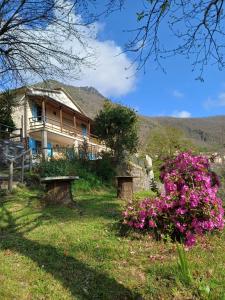 a house with pink flowers in front of it at La Panciotta in Azzano