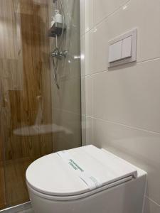 un bagno con wc e doccia di MICKIEWICZ HOUSE Apartamenty a Wadowice