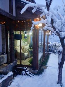 a snow covered house with a tree in the yard at Dolphin Residence Bulgaria in Zgorigrad