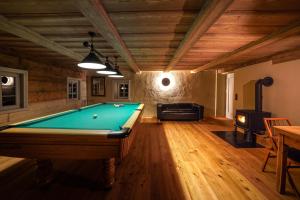 a billiard room with a pool table and a fireplace at Ferienhaus Weitsicht in Großschönau
