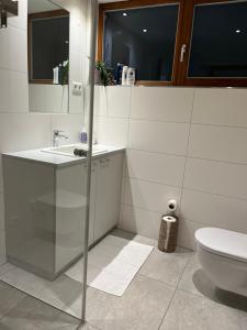 Et badeværelse på Urlaub in Alberschwende + 20 billeder