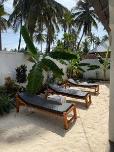 een rij ligstoelen op een strand bij Zanzi coconut house in Jambiani