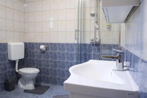 un bagno con wc, lavandino e doccia di Kuća za odmor Dankica a Veliko Trgovišće Altre 20 foto
