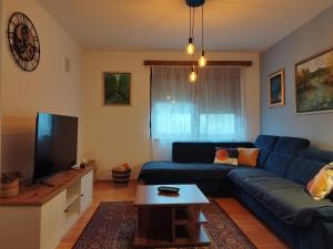 een woonkamer met een blauwe bank en een tv bij Kuća za odmor Dankica in Veliko Trgovišće +20 foto's